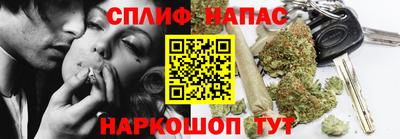 гашик Бузулук