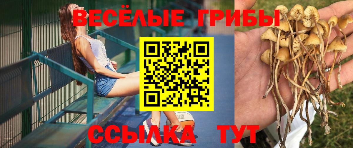 Псилоцибиновые грибы GOLDEN TEACHER  Псилоцибиновые грибы Psilocybine cubensis  Вход с VPN  Усолье-Сибирское 
